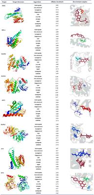 Herb-symptom analysis of Erchen decoction combined with Xiebai powder formula and its mechanism in the treatment of chronic obstructive pulmonary disease